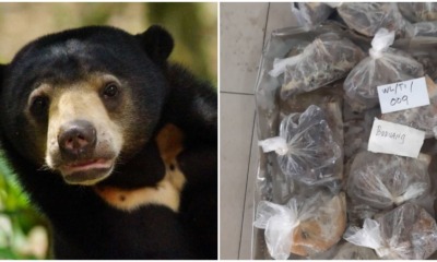 Restaurant In Sarawak Kena Raid - WORLD OF BUZZ