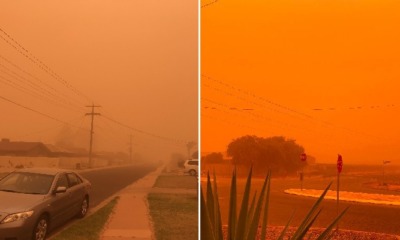 Skies in Australia Turn An Eerie Orange Due to Bushfires & Dust Storms, Code Red Declared in Areas - WORLD OF BUZZ 6