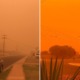 Skies in Australia Turn An Eerie Orange Due to Bushfires & Dust Storms, Code Red Declared in Areas - WORLD OF BUZZ 6