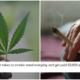 This Company Will Pay You RM150K A YEAR Just To Smoke Weed Erry'day - WORLD OF BUZZ
