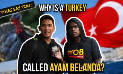 What Say You: Why Is A Turkey Called 'Ayam Belanda'? - WORLD OF BUZZ