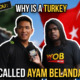 What Say You: Why Is A Turkey Called 'Ayam Belanda'? - WORLD OF BUZZ
