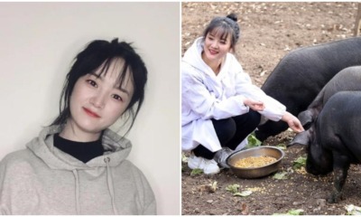 Worried Father Promises Minimum of 300 Pigs To Anyone Who Marries His Daughter - WORLD OF BUZZ 4