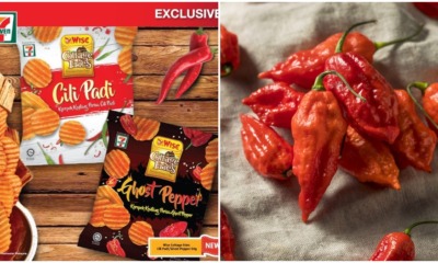 7-11 Just Released Wise Cottage Fries Ghost Pepper And Cili Padi Flavoured Chips To Satisfy The Chilli Monster In Us - WORLD OF BUZZ