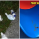 Parents Littered Diapers All Over Newly Opened Taman Tasik Titiwangsa, Left Poop All Over Slides - WORLD OF BUZZ