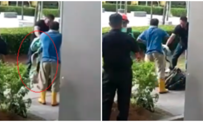 Horrifying Video Dog Catchers In Johor Violently Kick Dog Into Submission As People Watched On - WORLD OF BUZZ