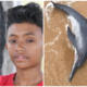 Beached Dolphin That Was Rescued In Terengganu Found Dead - WORLD OF BUZZ