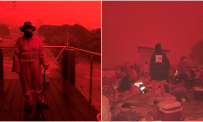 Aussie Skies Turn 'Apocalyptic' Blood Red As Thousands Flee From Uncontrollable Bush Fires - WORLD OF BUZZ