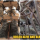 China Has Not Only Been Eating Cats But They Have Been Trading The furs as well - WORLD OF BUZZ 11
