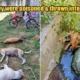 Five Neutered Dogs Were Mercilessly Poisoned & Thrown Into The Drains In Perak - WORLD OF BUZZ