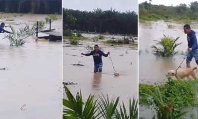 Kind M'sian Man Saves Poor Doggo Abandoned in Middle of Flooded Field - WORLD OF BUZZ 3