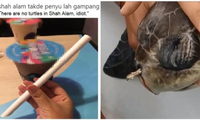 M'sian Protests Against Plastic Straws By Saying "There's No Turtles In Shah Alam" - WORLD OF BUZZ 5
