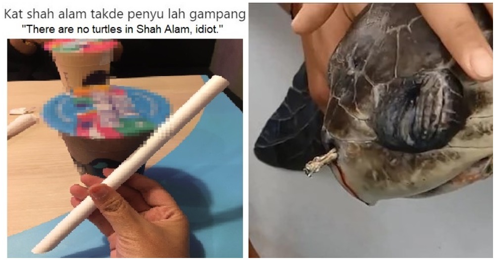 M'sian Protests Against Plastic Straws By Saying "There's No Turtles In Shah Alam" - WORLD OF BUZZ 5