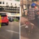 M'sian Warns About Motorcyclist Targeting Lone Drivers & Demanding Money After Faking Accident - WORLD OF BUZZ 2