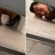 Watch: Pervert Caught Red-handed After Looking Under Toilet Door While Woman Was Inside - WORLD OF BUZZ