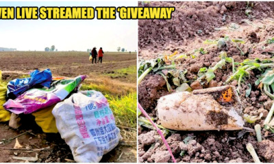 Radish Farmers Lost RM177K When Neighbout Mistook Generosity For Free-For-All Giveaway Leaving The Farm Barren - WORLD OF BUZZ