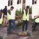 Seremban Dogcatchers Caught Hitting and Kicking a Stray Dog That Was Already Pinned Down - WORLD OF BUZZ