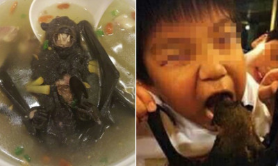 Coronavirus From Wuhan, China Speculated to Originate From Bat Soup as Citizens - WORLD OF BUZZ