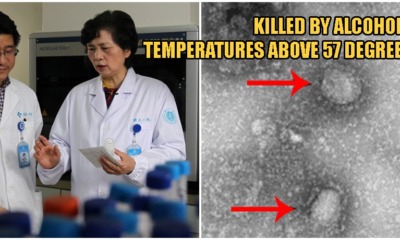 Experts Say Deadly Wuhan Virus Can Be Killed By Alcohol & High Temperatures! - WORLD OF BUZZ 3