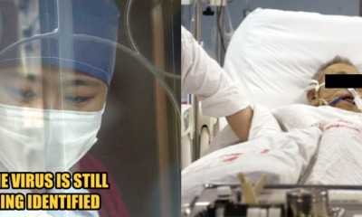 Mysterious Flu-Like Disease Breaks Out in China, Microbiologist Says The Infection is Similar to SARS - WORLD OF BUZZ