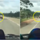 Road User Witness Driver Microsleeping and Hits A Motorcycle, Netizens Insist That They Should've Honked Instead Of Recording - WORLD OF BUZZ 7