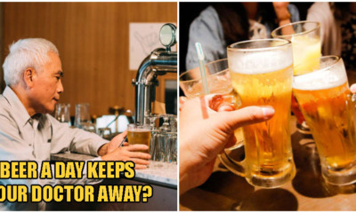 A Beer A Day Can Increase Your Chances of Living Up To 90, According To Research - WORLD OF BUZZ