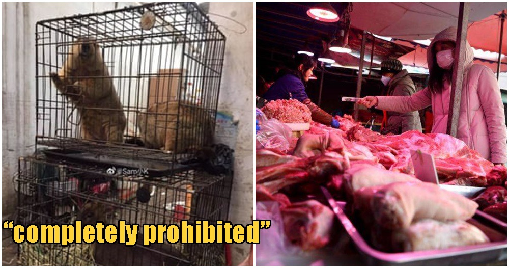 China Officially Places Permanent Ban On Trade & Consumption Of Wild Animals - WORLD OF BUZZ 4
