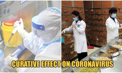 Chinese Experts Confirm That This Antimalarial Drug Is Effective Against The Coronavirus - WORLD OF BUZZ 5