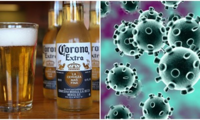 Corona Beer Falls Victim To Covid-19 As People Are Associating It With Coronavirus - WORLD OF BUZZ 1