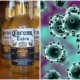 Corona Beer Falls Victim To Covid-19 As People Are Associating It With Coronavirus - WORLD OF BUZZ 1
