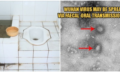 Experts Suggest That Wuhan Virus Can Spread Through Feces, Advises Caution When Using Toilets - WORLD OF BUZZ 1