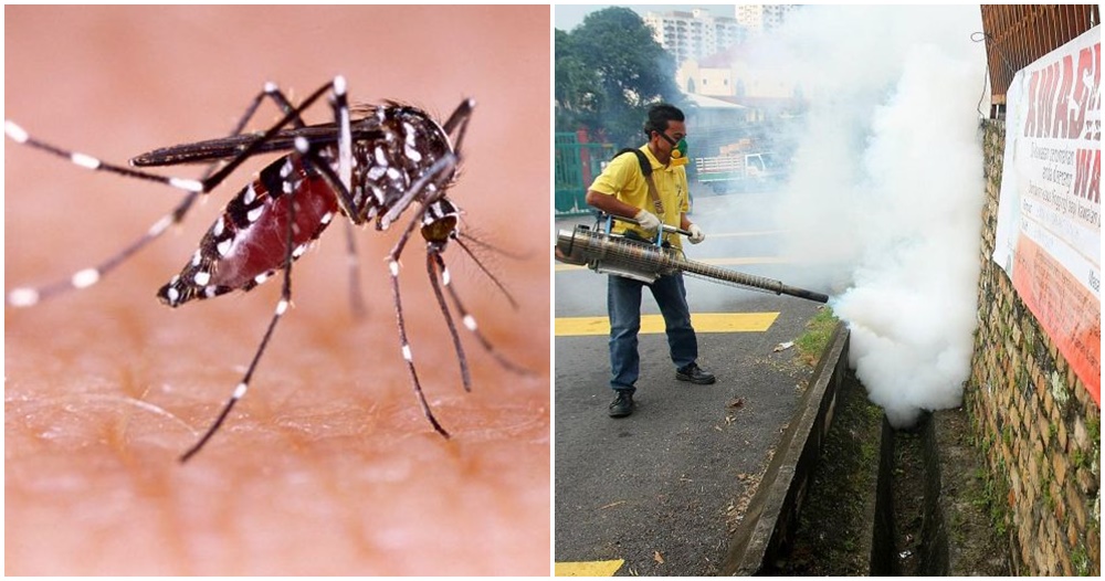 MOH: M'sia Has Recorded More Than 20,000 Dengue Cases, 24 Deaths In Just 7 Weeks! - WORLD OF BUZZ 4