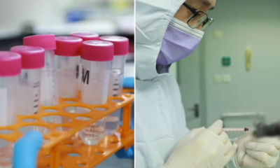 Novel Coronavirus Vaccine Sample Has Been Developed & Has Started Animal Trials - WORLD OF BUZZ 1