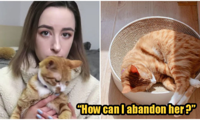 Woman Refused To Leave Wuhan During Lockdown Because She Didn't Want To Leave Her Cat Alone - WORLD OF BUZZ