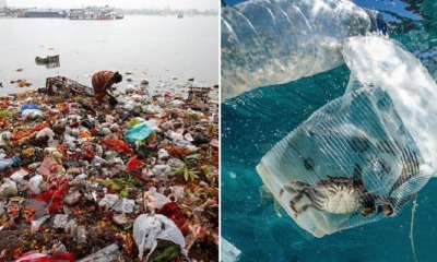 WWF: Malaysia is Asia's Biggest Plastic Ocean Polluter, Worse Than China & Thailand - WORLD OF BUZZ 3