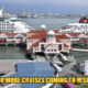 M'sia Temporarily Bans All Cruise Ships Coming Into The Country As A Means To Contain Covid-19 - WORLD OF BUZZ
