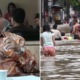 Jakarta Official: "Just Enjoy The Floodwaters, 2/3 Of The Human Body is Water Anyway" - WORLD OF BUZZ 2