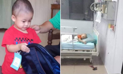 2yo Malaysian Boy i - WORLD OF BUZZ