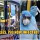 MOH: 117 New Cases Of Covid-19 In Malaysia, Total Now At 790 - WORLD OF BUZZ