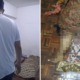 Mother & Baby Die While Giving Birth At Puchong Home As Father Could Not Afford to Send Them to Hospital - WORLD OF BUZZ 3