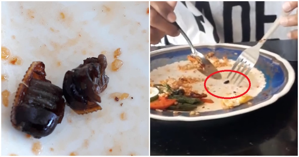 M'sian Finds Cockroach Eggs In His Rice At Sepang Mamak, Warns Netizens To Check Food Before Eating - WORLD OF BUZZ 2