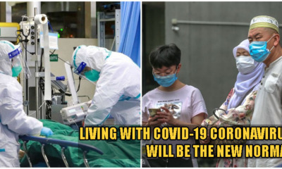 No, The Coronavirus Won't Stop Until End of 2020 & It Will Become Part of Our Daily Lives, Say Experts - WORLD OF BUZZ 2