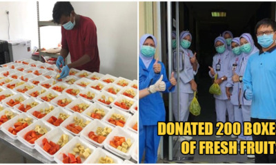 Plantation Owner Donates Over 100KG of Packed Fruits To Front-line Authorities To Show Gratitude - WORLD OF BUZZ 3