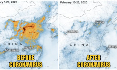 Pollution In China Is Clearing Up After Coronavirus Forces Factories To Close, Satellite Images Prove - WORLD OF BUZZ