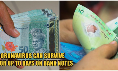 WHO Warns Coronavirus Can Survive On Bank Notes For Days, Advises Using Contactless Payments Instead - WORLD OF BUZZ 2