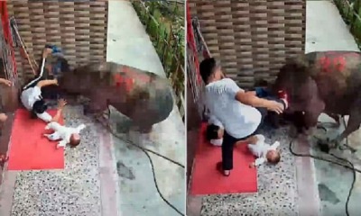 Adobe 20200426 122201