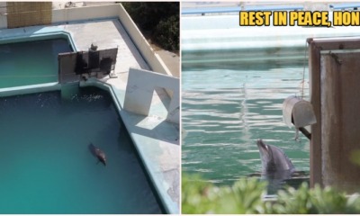 My Post 2020 04 22T093602.312