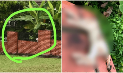 My Post 2020 04 24T143505.418