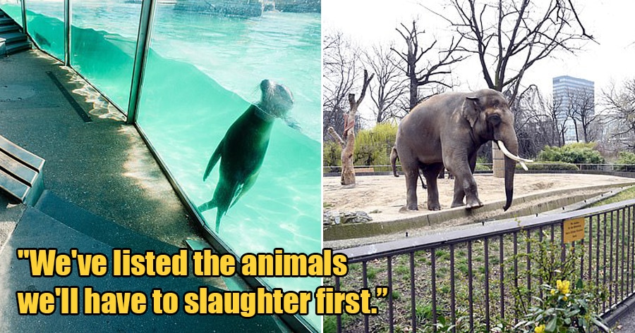 Berlinzoo 1