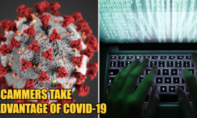 Covid-19 Doesn't Stop Scammers From Preying On The Vulnerable, Here's What You Should Know - WORLD OF BUZZ 5